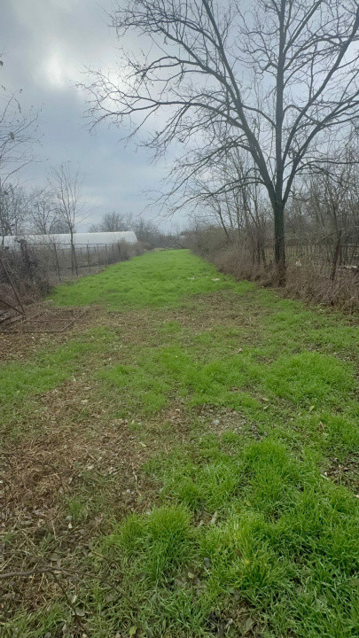 Bolintin Vale-Teren intravilan, 1625 mp