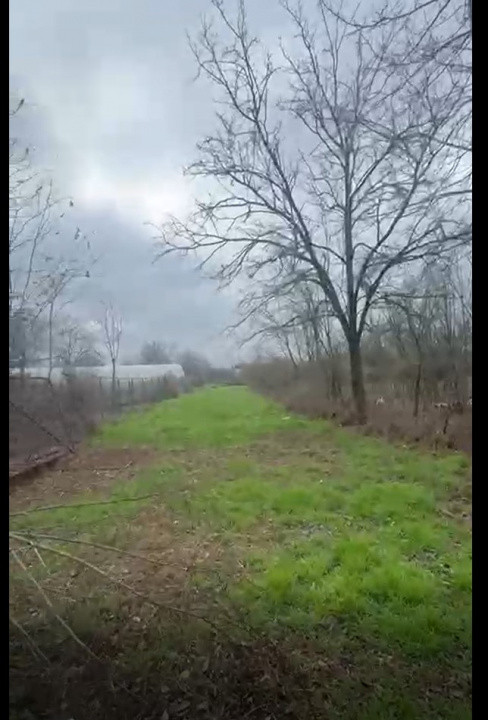 Bolintin Vale-Teren intravilan, 1625 mp